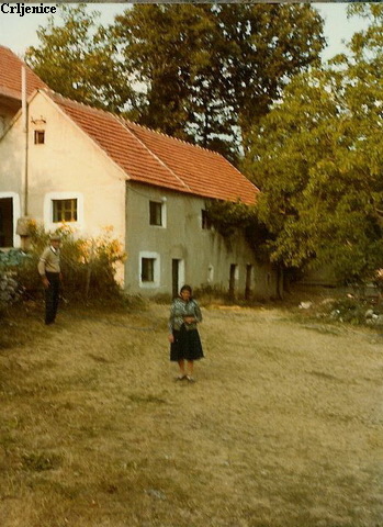 Crljenice