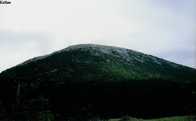 Kolino